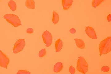 Spring background nature concept leaf plant,  greenery.