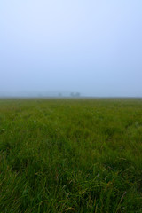 Fototapeta premium Foggy morning in Midewin