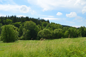 Rehorngebirge