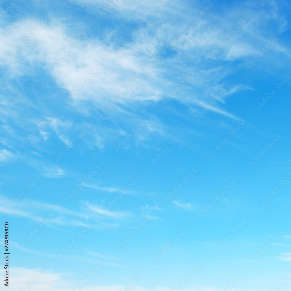 Wall mural Blue sky and white clouds