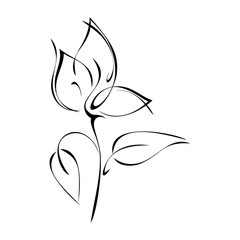 Fototapeta na wymiar decorative flower with large petals on the stem with leaves in black lines on a white background