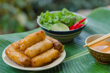 Vietnamese fried spring rolls with fresh vegetable and peanut sauce