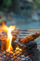 Grilled pork on fire. Asian food photo