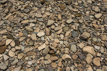Pebbles from the mountain river