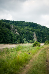 A swift mountain river, shore of pebbles. Flows through the coniferous forest