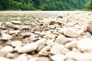 A swift mountain river, shore of pebbles. Flows through the coniferous forest