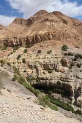 Nature Reserve Ein Gedi