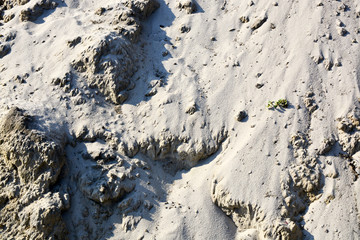 Fototapeta premium sand texture