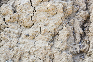Dry cracked earth
