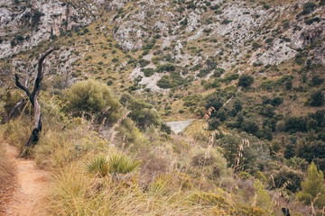 Mallorca
