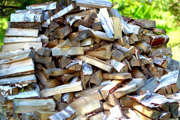 Birch firewood on the background of green leaves.