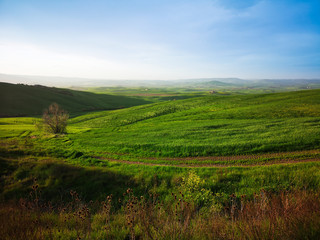 Landscape in spring.