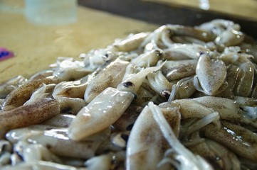 Squid on the market display shelve