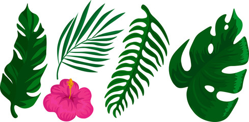 Tropical set of leaves and flowers. Trendy design for towel, cosmetic, spa, bottle. Summer time. Vector isolated illustration on white background.
