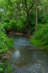 Fototapeta na wymiar Prairie Creek