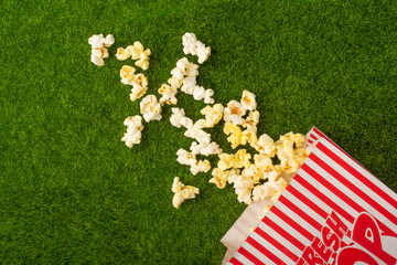 Packing with popcorn on a green lawn. Grass. Watching films on nature. In parks. Rest and...