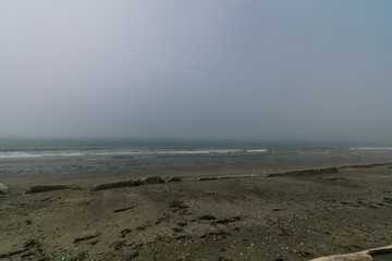 Whidbey Island beach in fog