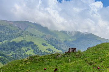 Bench at the top of the hill and the beautiful view of the wooded mountains