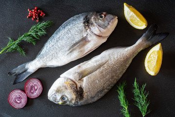 Fresh uncooked dorado fish with vegetables served on black plate.