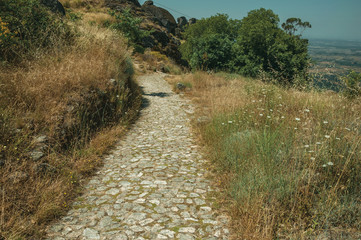 Pathway covered by bushes and rocks near Monsanto