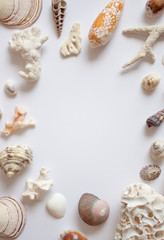 Sea shells, stones, mussels and corals frame.