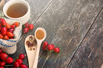 Dog rose, bunch branch Rosehips, Different types Rosa canina hips