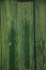 Fototapeta na wymiar Worn planks with peeling paint in an old door