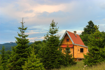 Wooden cottage surrounded by green fir trees