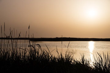 Sunset, sea, nature.