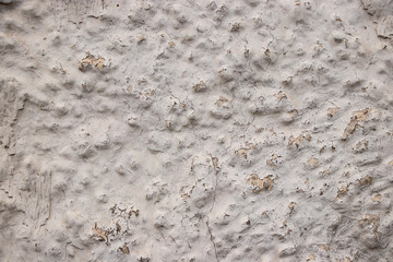 White painted grunge wall rough texture