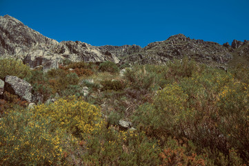 Fototapeta na wymiar Landscape with rocky cliffs covered by green bushes