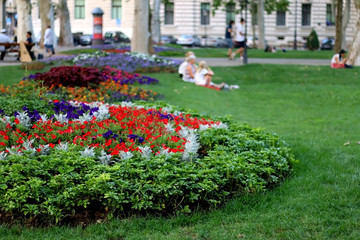 Flowers in beautiful Zrinjevac park in central Zagreb, Croatia.