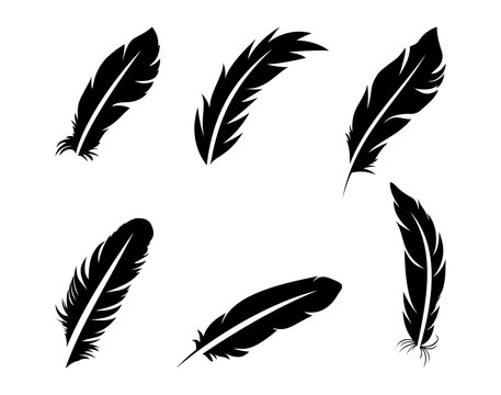 Set of black feathers on a white background in flat style.Vector