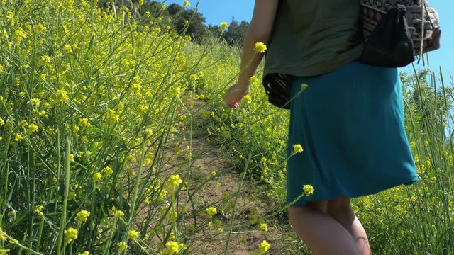A young red-haired traveler girl in a cowboy hat walks along a mountain path overgrown with grass and shrubs with yellow flowers.