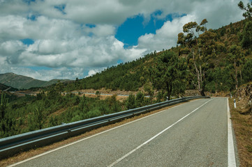 Road passing through hilly landscape covered by forest