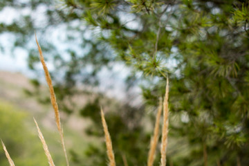 Escribir para añadir, dejar en blanco para borrar