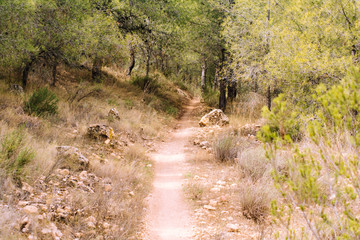 Escribir para a&ntilde;adir, dejar en blanco para borrar