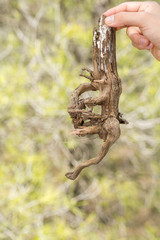 Escribir para añadir, dejar en blanco para borrar
