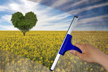 Squeegee cleaning window with yellow flowering rape field with heart shape tree under blue sky.