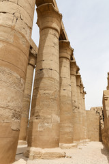 Columns in Luxor Temple, Luxor, Egypt