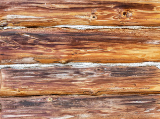 Plakat Wooden logs with natural patterns as background