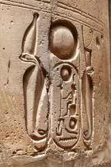 Egyptian Hieroglyphs in Luxor Temple, Luxor, Egypt