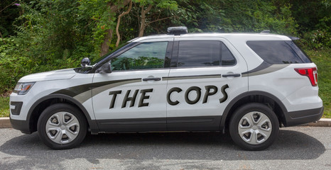 Police car altered with THE COPS designation. Fun. Humor. Respect.