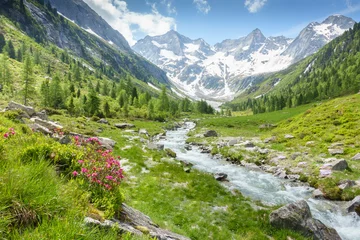 Fotobehang Berglandschap met een bergstroom en gletsjer op de achtergrond © by paul