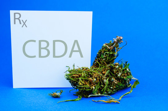 Medical cannabis concept. Flowers buds of marijuana and prescription for CBDA. Cbd or Thc weed or hemp