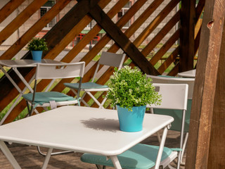 Summer cafe - white table, mobile chair, green flower in a pot. Background of wooden boards with gaps.