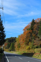 里山　道路