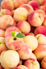 White peaches at an outdoor market