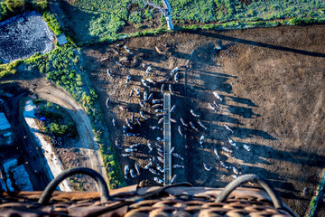 Farmland Outback Hot Air Ballooning Aerial View