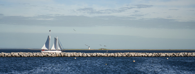 Sailboat and the Long Point Light Station in the distance panoramic view with many birds on the...